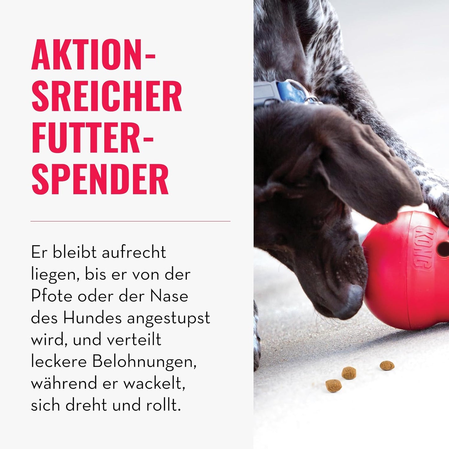 Wobbler - Interaktives Hundespielzeug für Leckerliausgabe, M/L