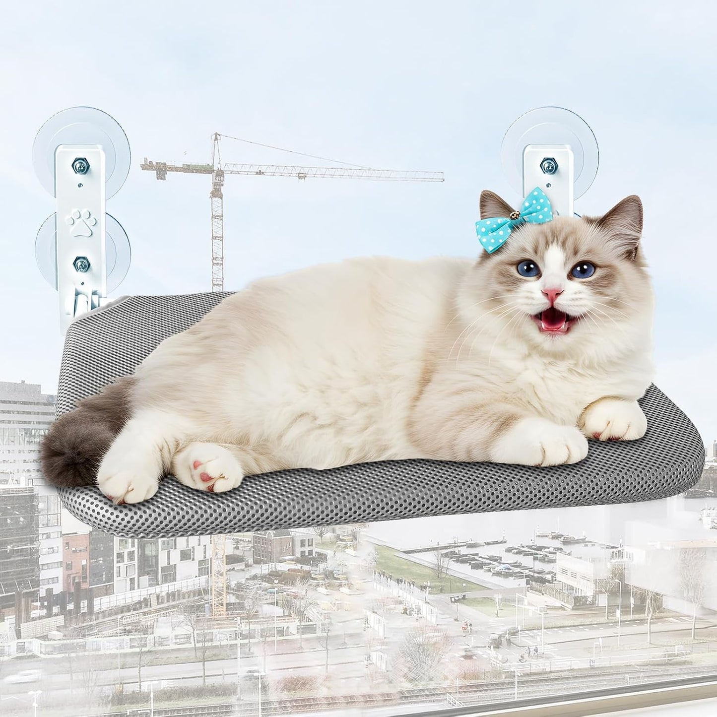 Fenster-Hängematte für Katzen