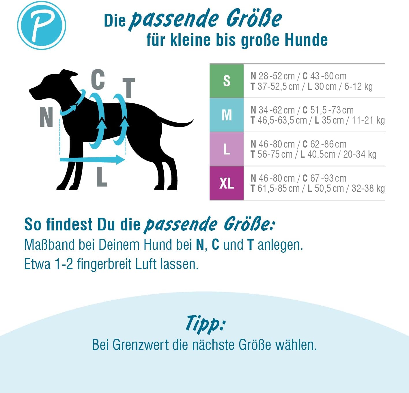 Ausbruchsicheres Sicherheitsgeschirr, Petrol XL