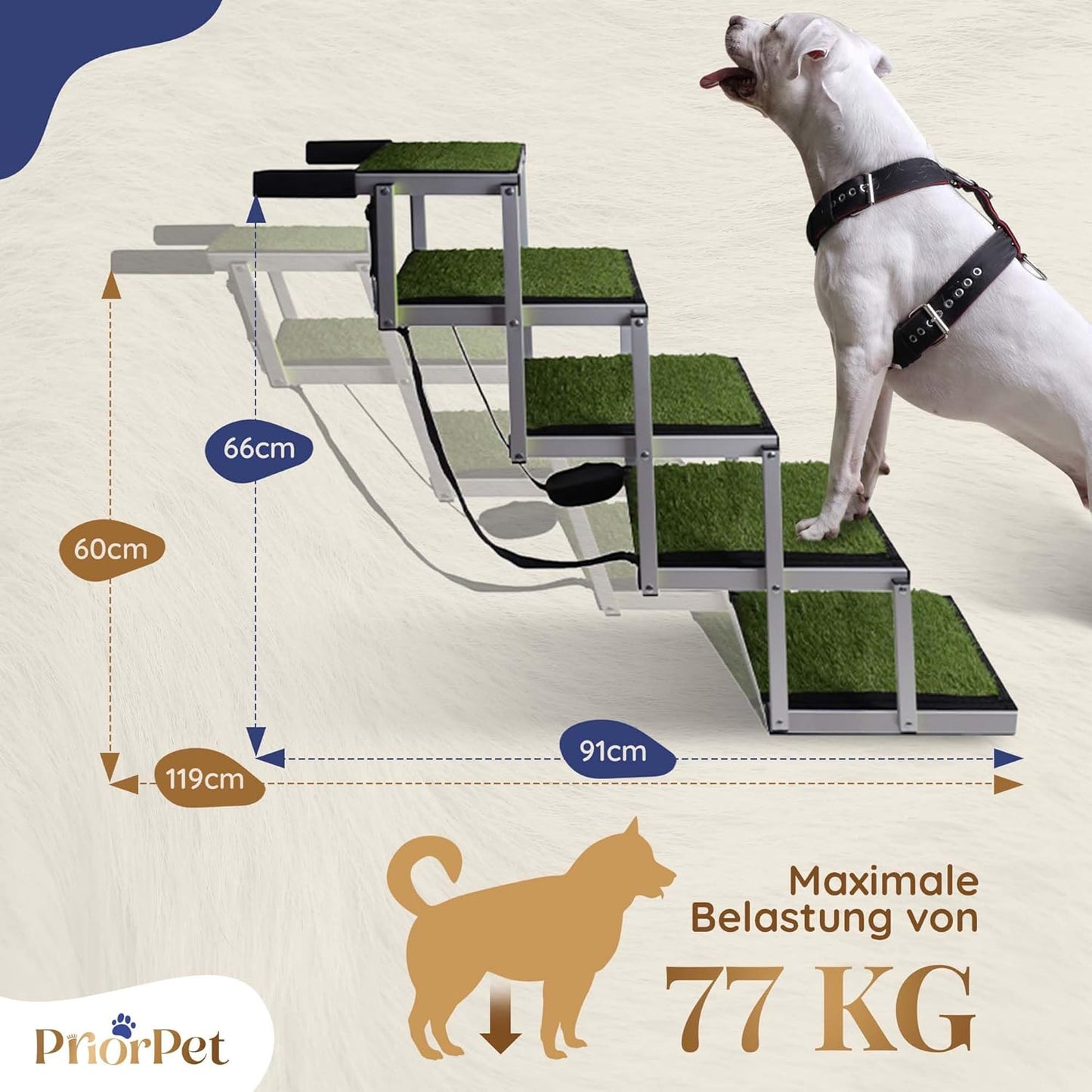 Faltbare Hundetreppe, 5 Grass FB