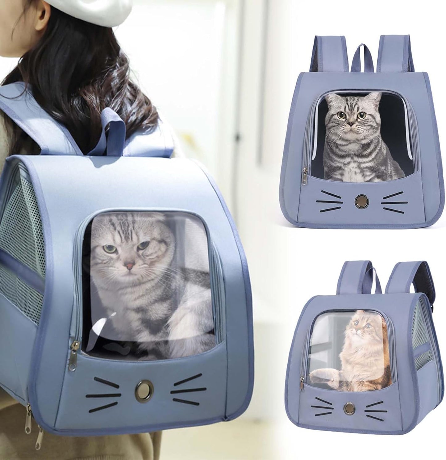 Faltbare Katzentasche mit Netzfenster, blau