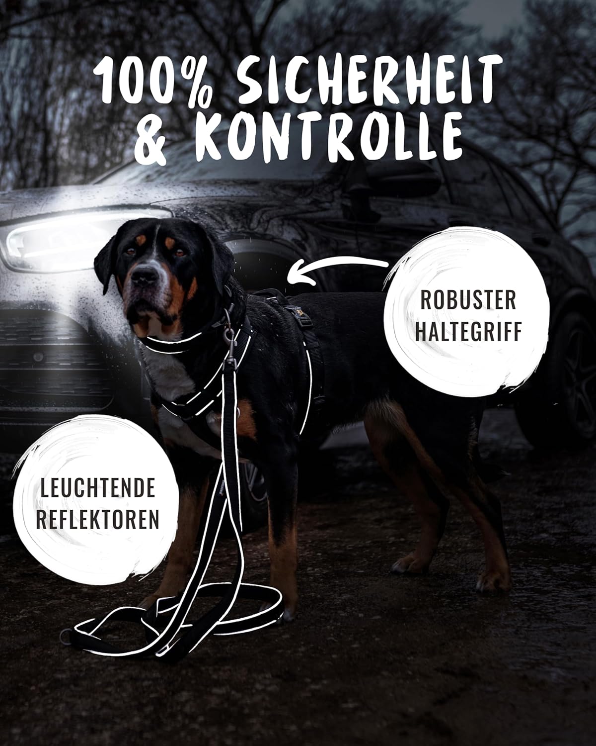 Reflektierendes Hundegeschirr Paola, L / Schwarz-Reflektierend