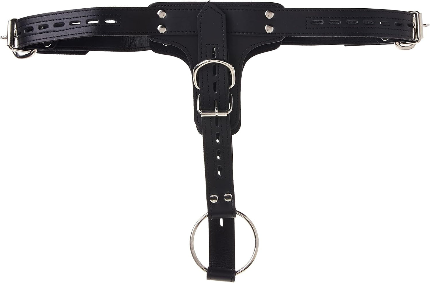 Premium Locking Leder-Cockring & Plug Harness