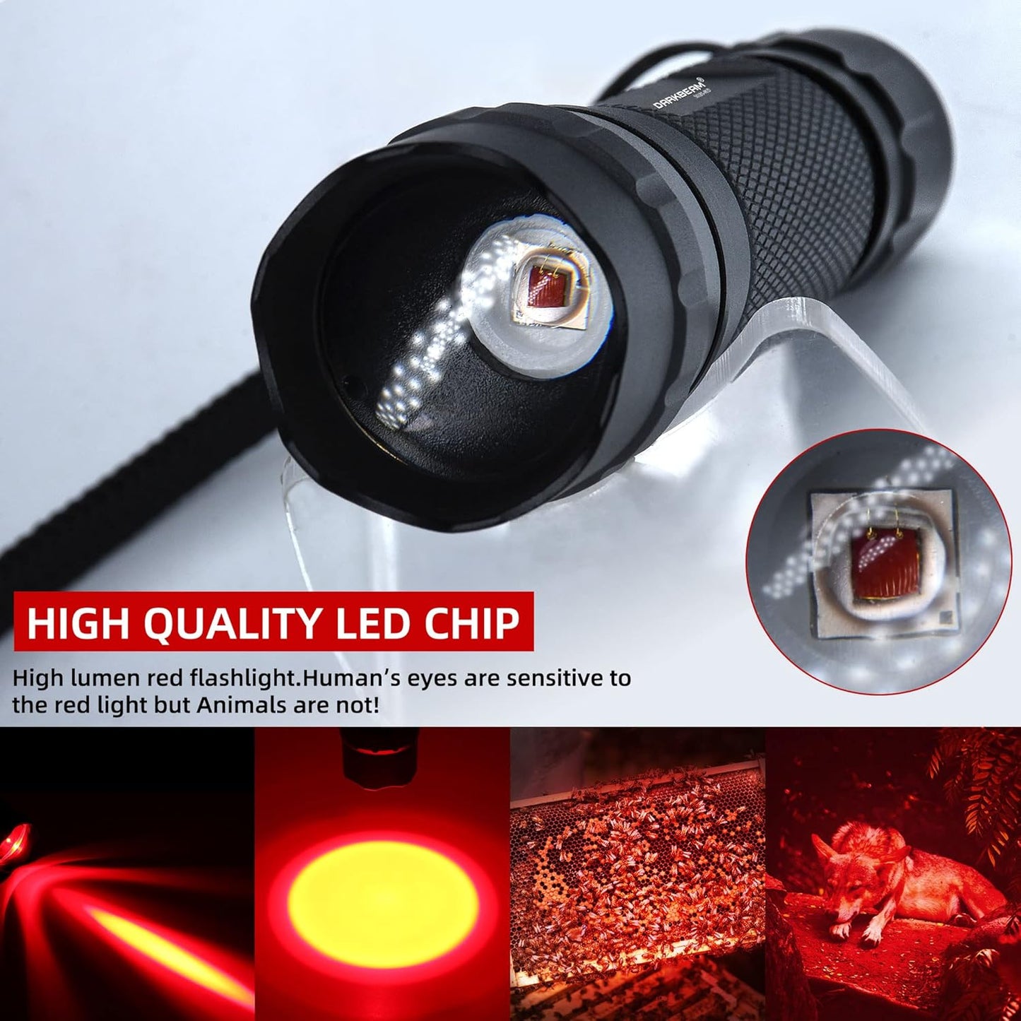 Rotlicht-Taschenlampe mit Zoomfunktion, USB-aufladbar, Rotlicht Taschengrösse