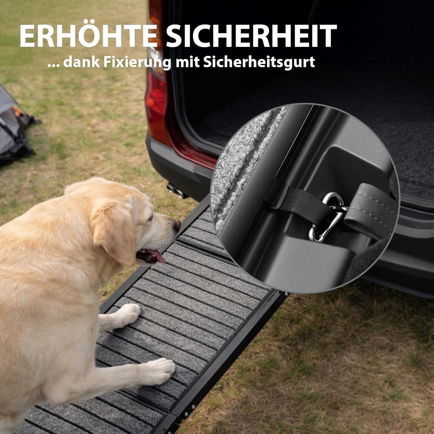 Klappbare Hunderampe mit Sicherheitsgurt