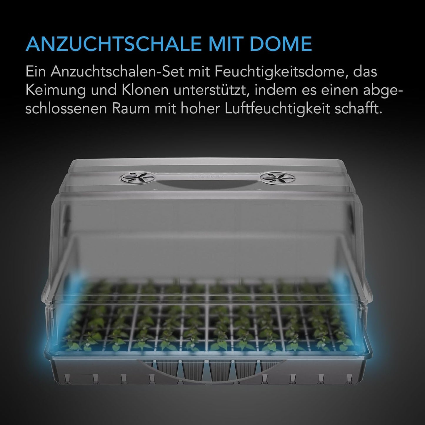 Keimset mit Feuchtigkeitskuppel und Sämlingsschalen, Large Dome Kit