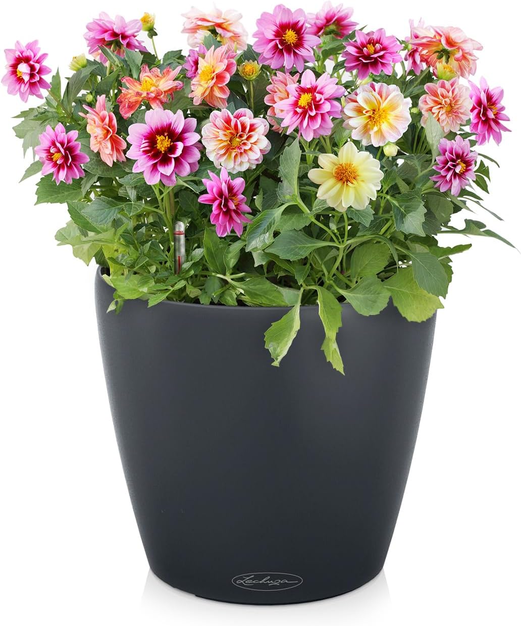 Classico Color, 28.5x28.5x26 cm Schiefergrau