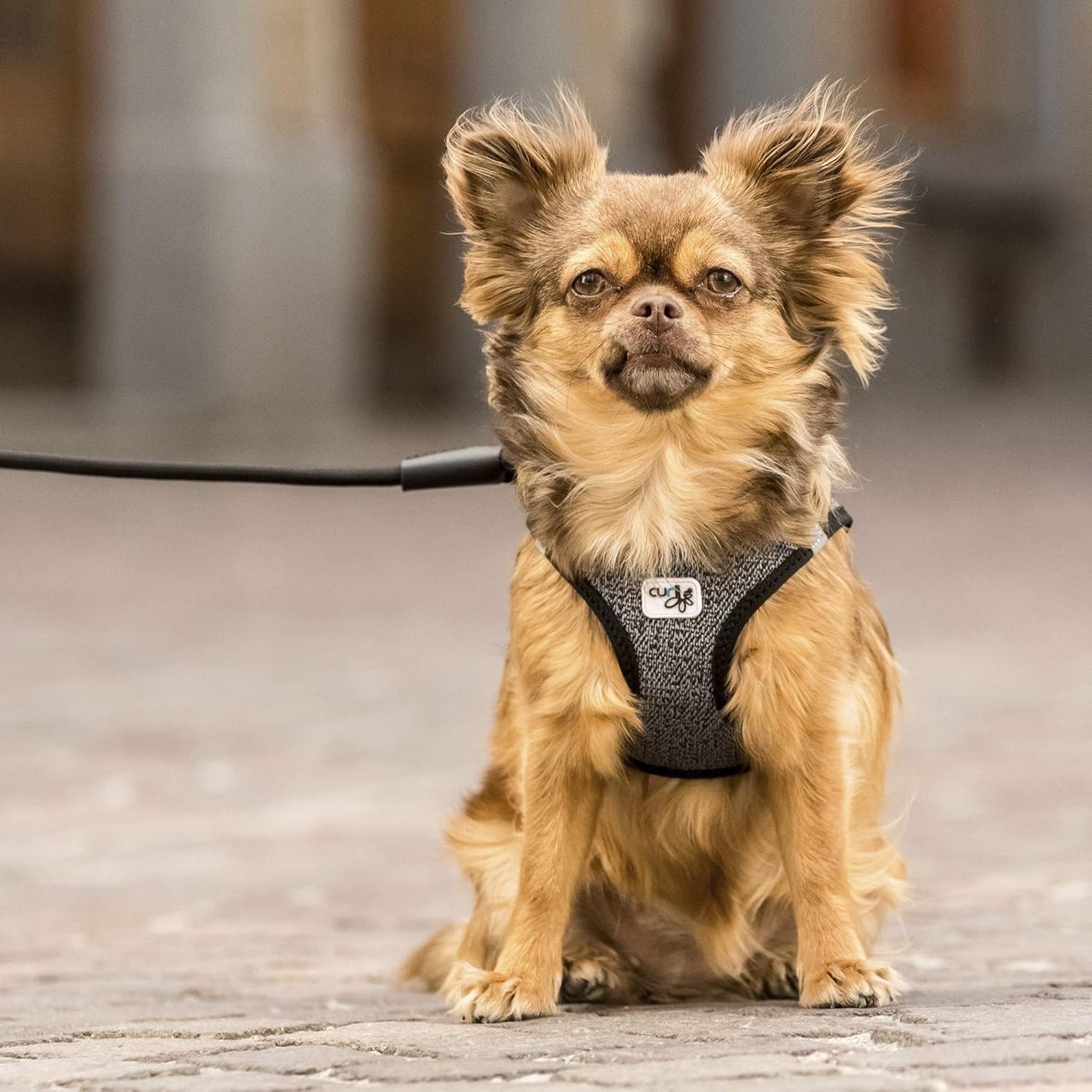 Vest Harness - Hundegeschirr, S Black