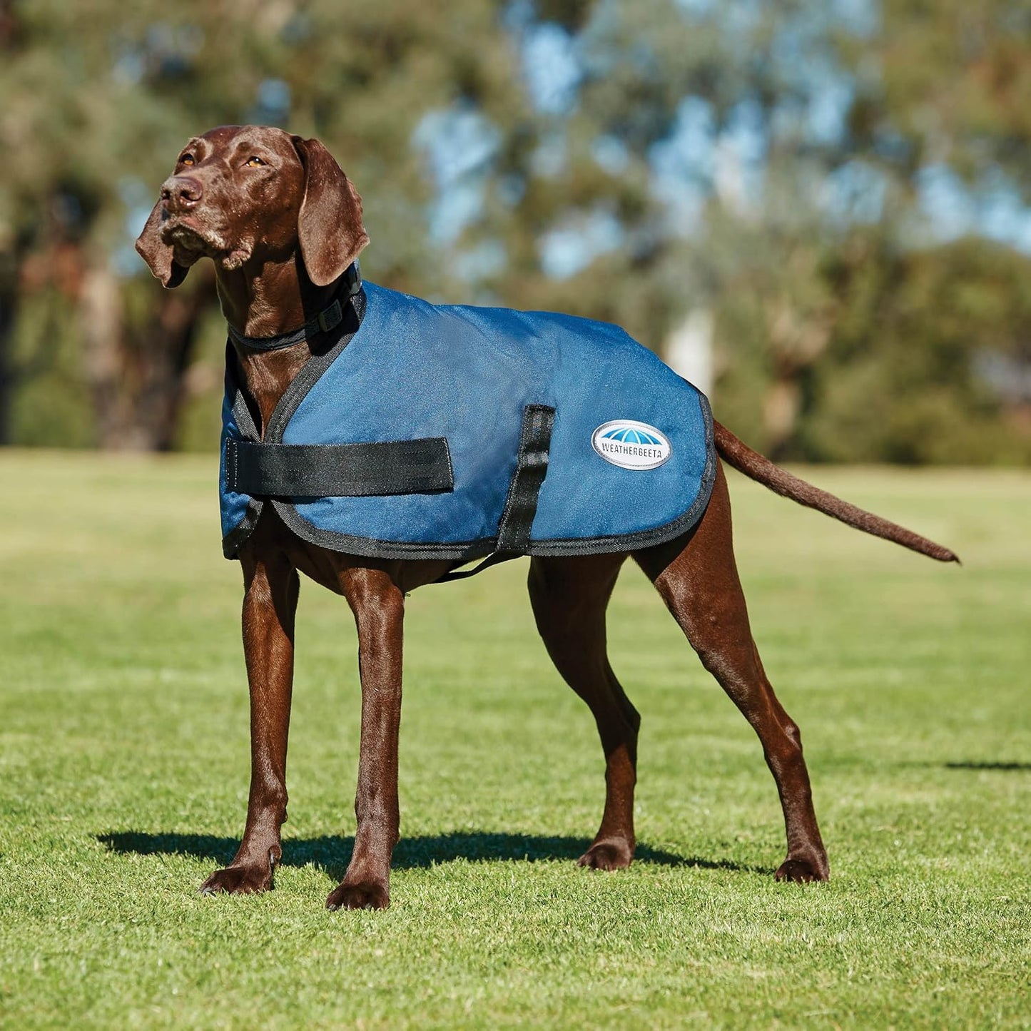 Comfitec Classic Parka Hundejacke, 30 cm