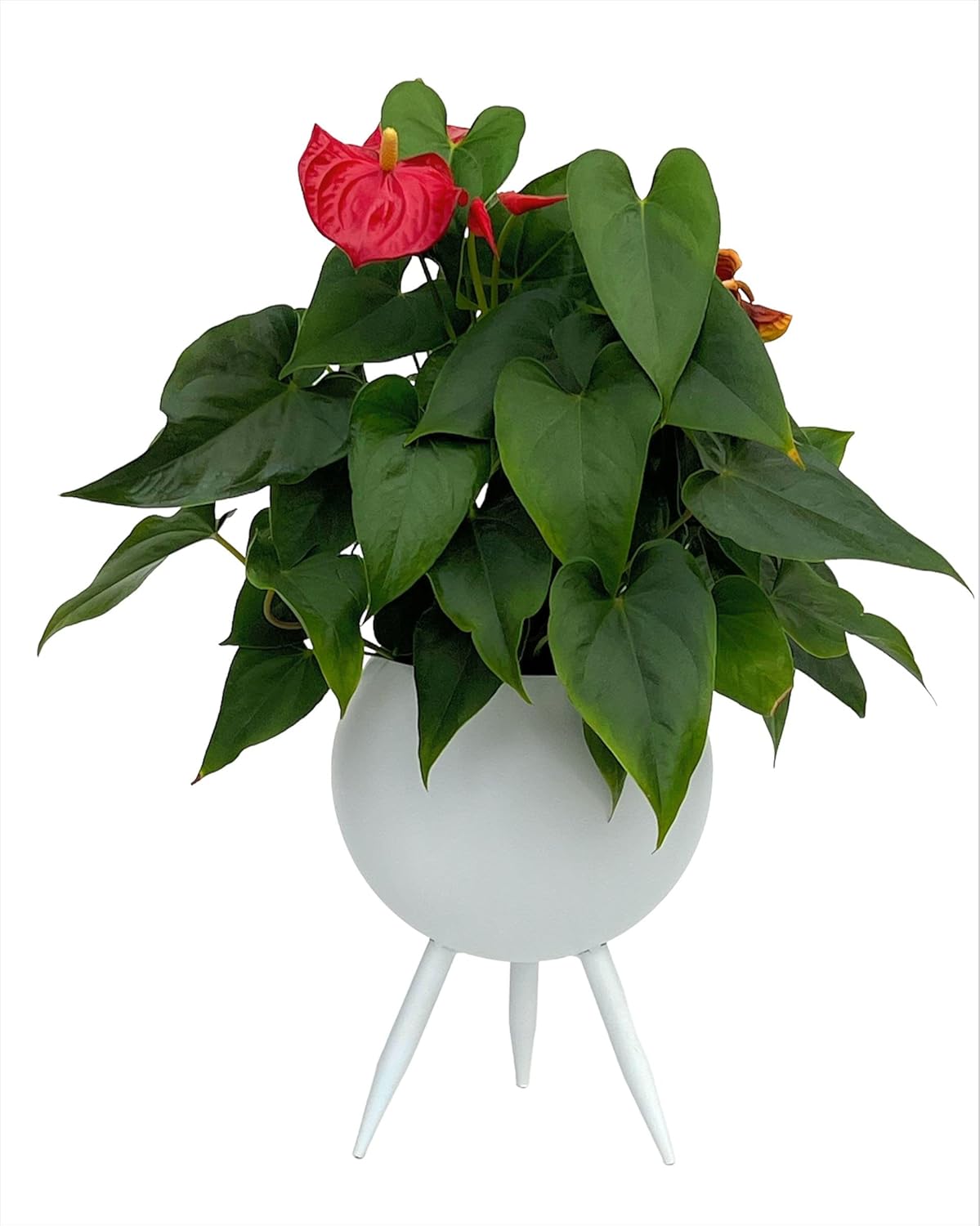 Blumenhocker mit Topf 96259, 27 Cm