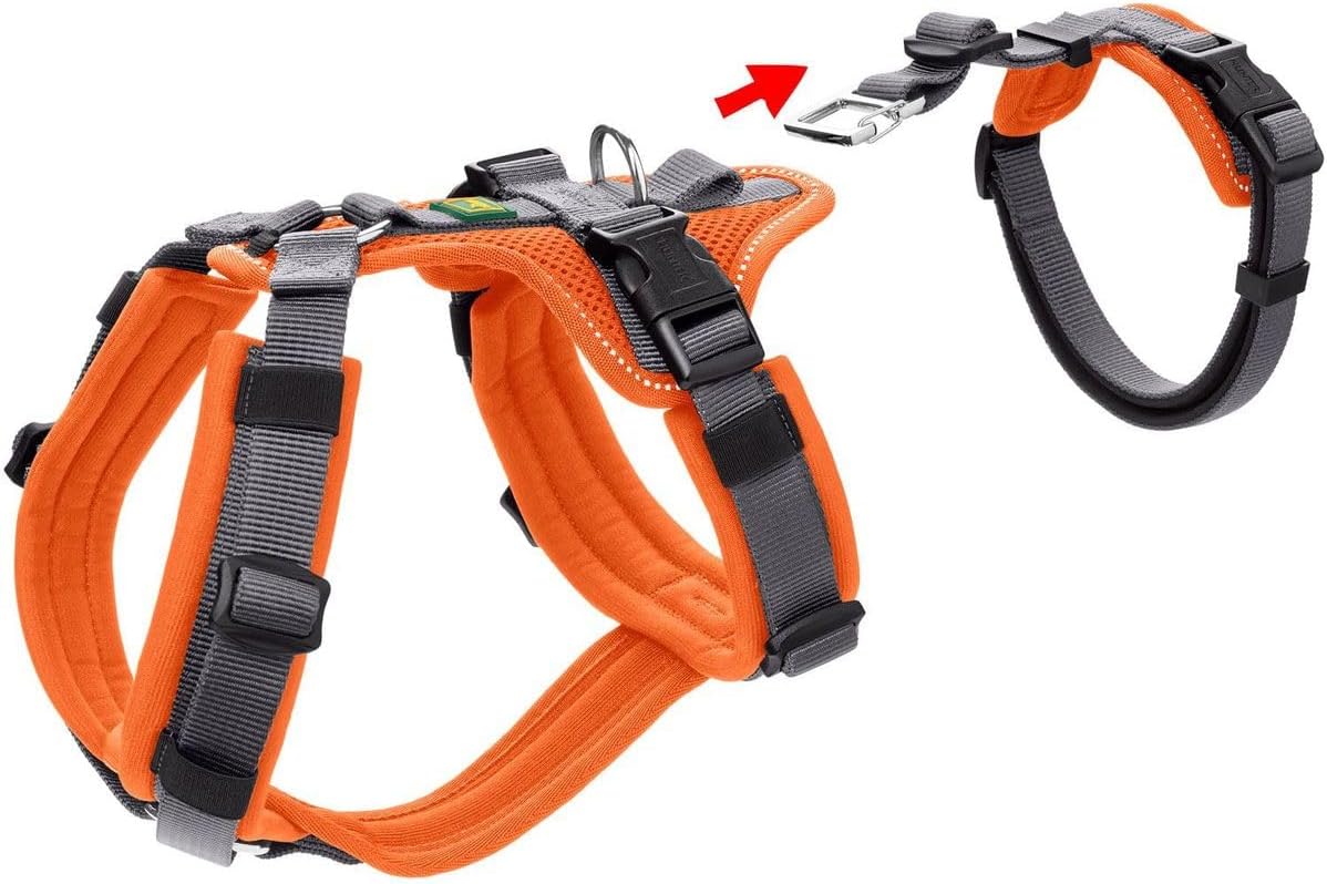 Sicherheitsgeschirr Maldon, S-M orange/grau