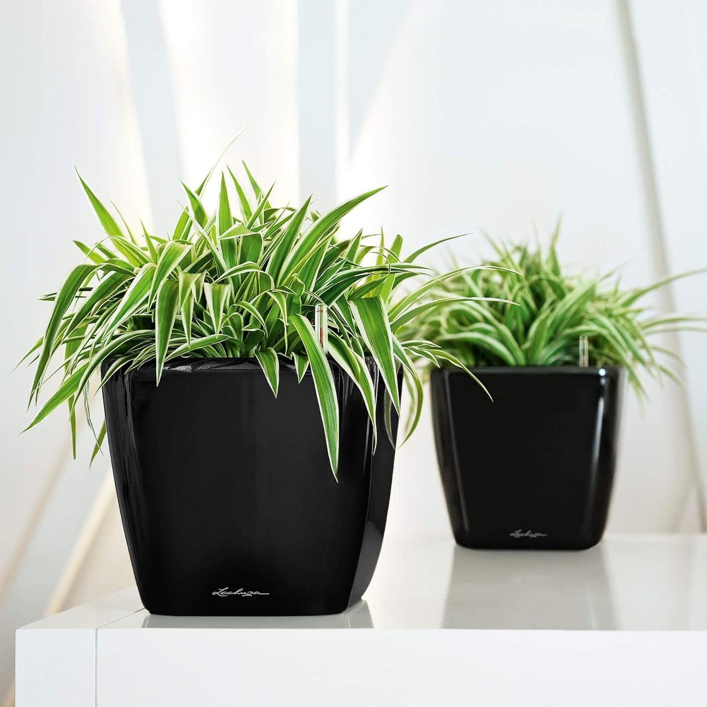 Pflanztopf Quadro Premium LS, 22.5x22.5x20.5 cm Schwarz Hochglanz