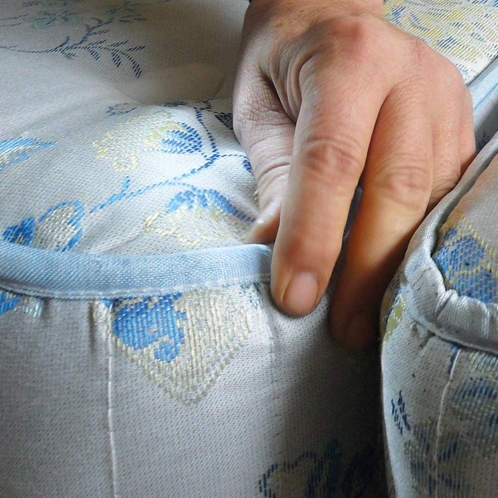 Cimex Eradicator Bettwanzenentferner mit Trockendampf
