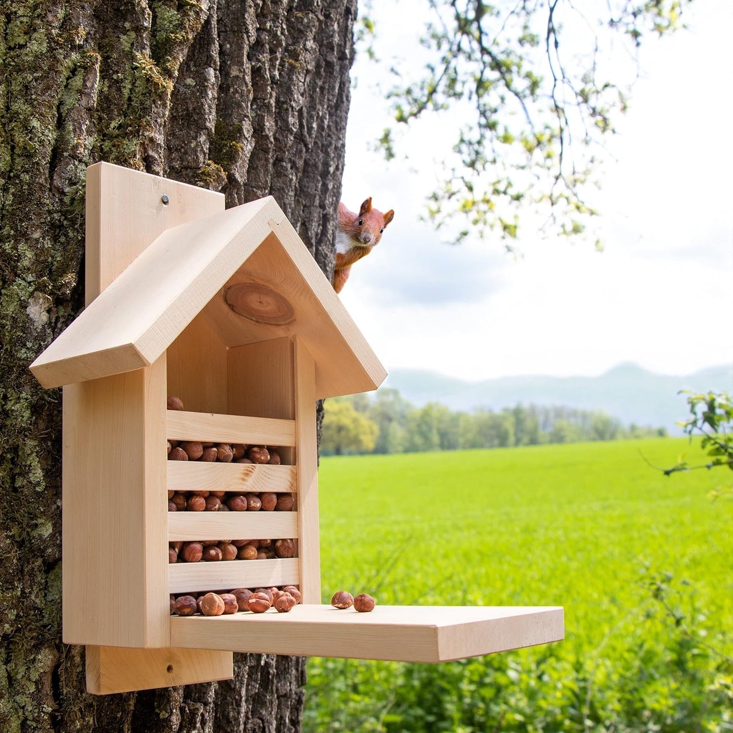 Eichhörnchen-Futterhaus aus Zirbenholz