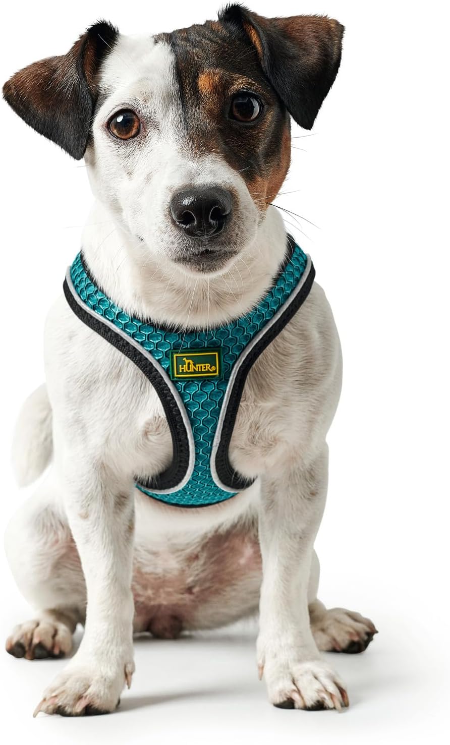 Hundegeschirr Hilo Comfort, türkis XXS