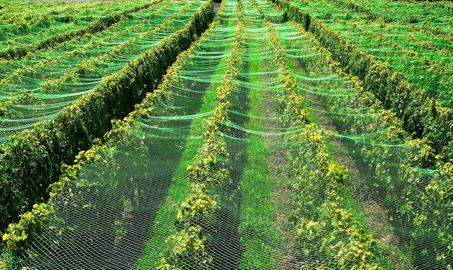 Teichnetz Laub- und Vogelschutz, 14m x 8m, 14m Grün 8m Breit