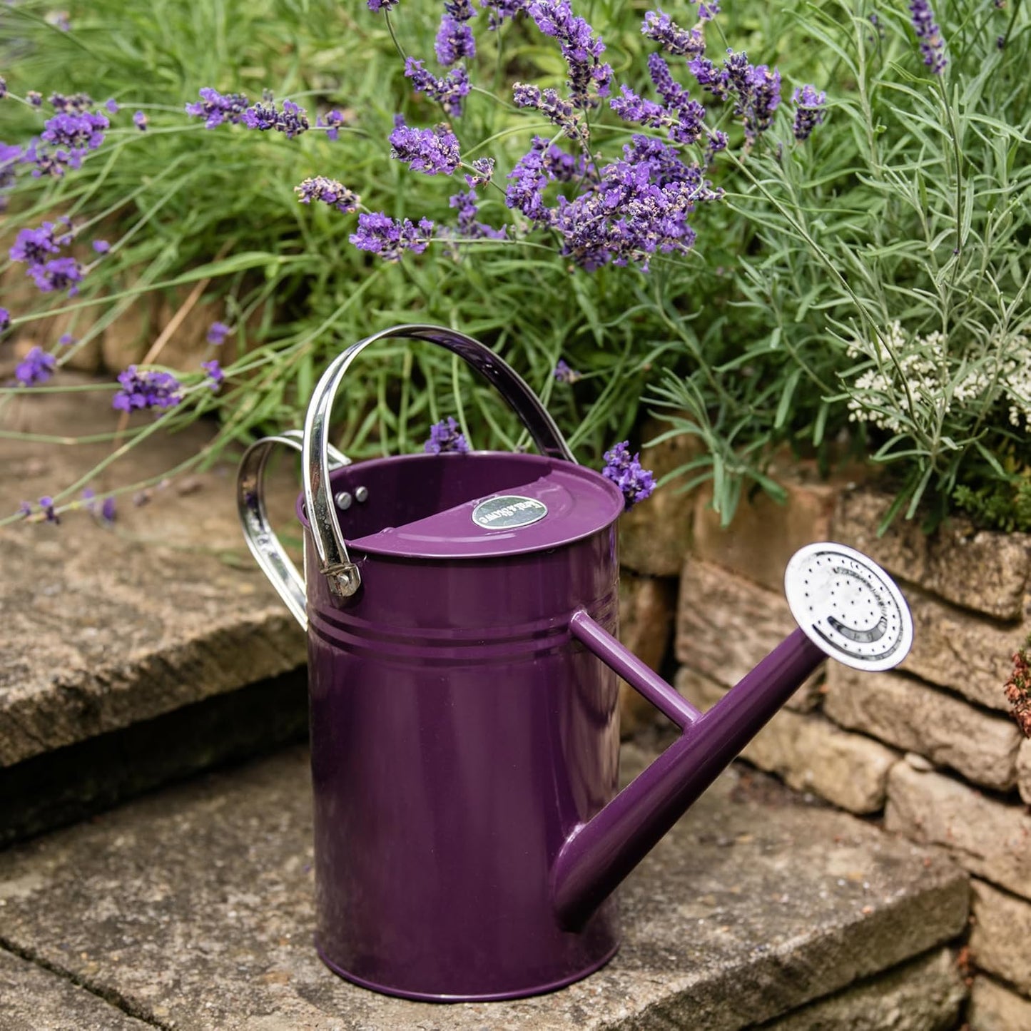 Vintage Giesskanne mit 2 Griffen, 4.5 Liter Violett