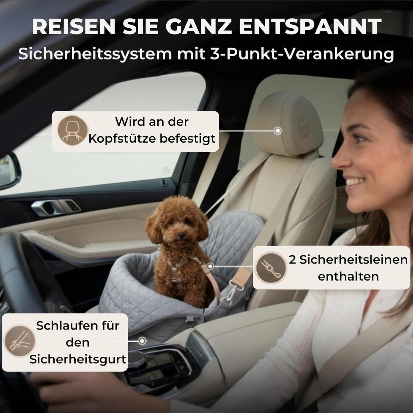 Hundetransporttasche mit Sicherheitsleine, Grau