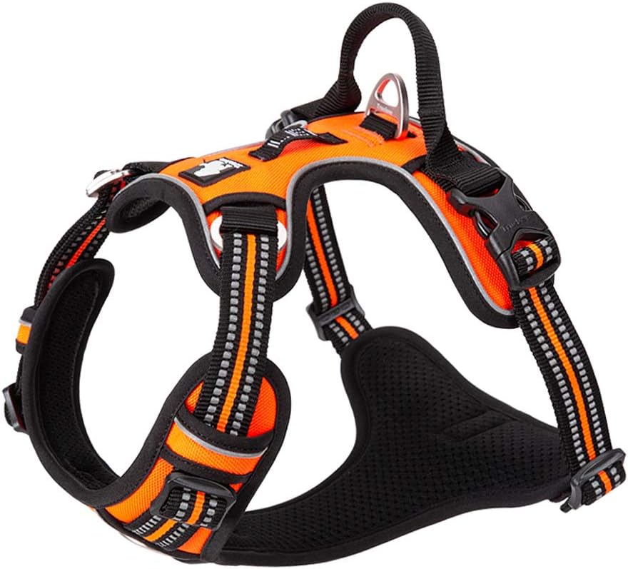 Hundegeschirr, S ; Orange