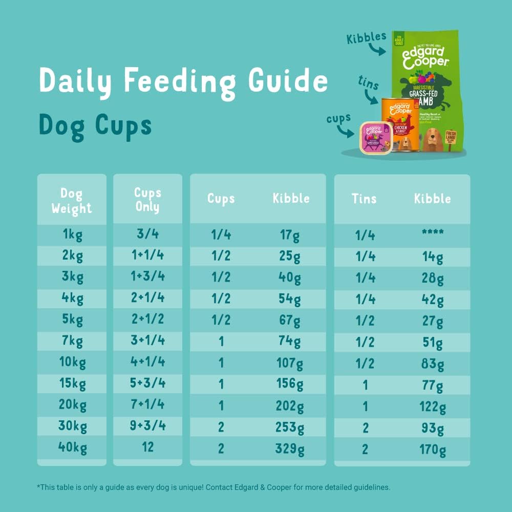 Hundefutter nass, Lachs/Truthahn 300 g (18er Pack)