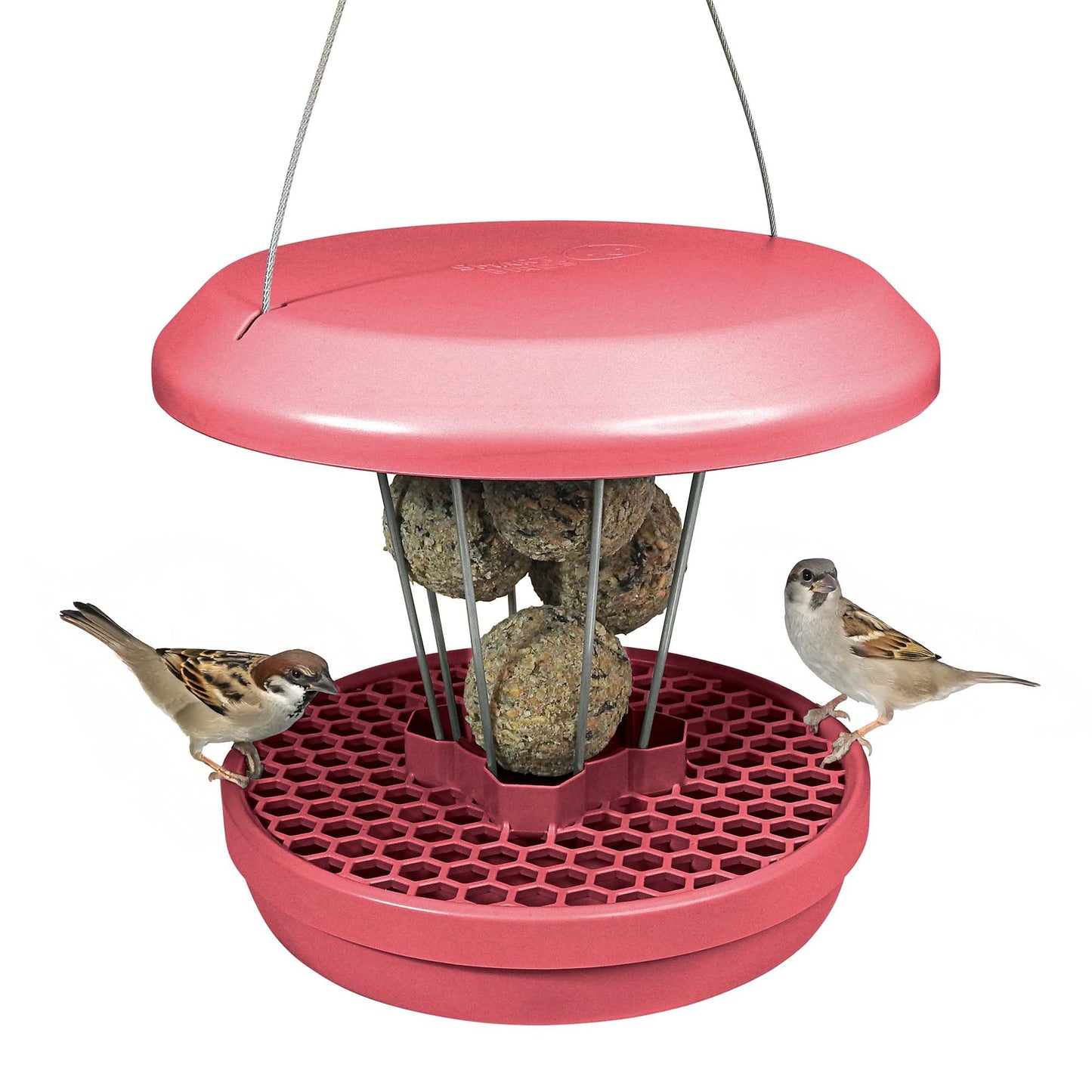 Vogel-Futtersilo Lucerne SMART BIRDS, Staubiges Rosa Lucerne