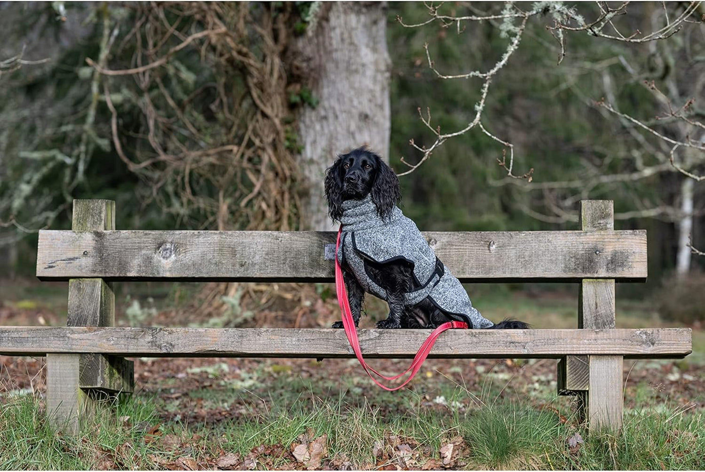 Comfy Knit Hundejacke, 30