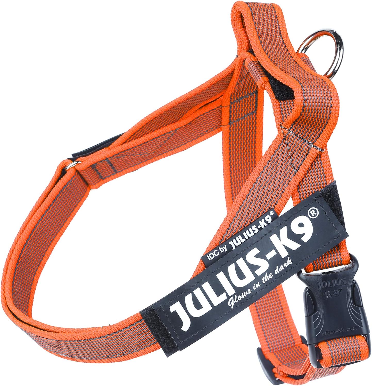 Color & Gray - Beltgeschirr für Hunde, S / Mini orange-grau