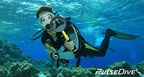 PulseDive Metalldetektor