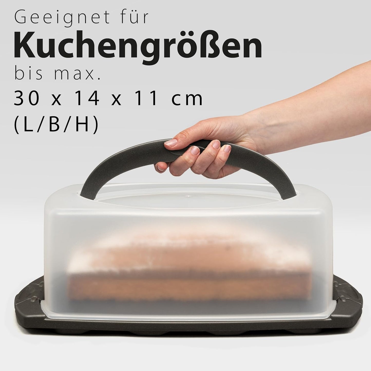 105004 Kuchentransportbox, Rechteckig für Kastenkuchen