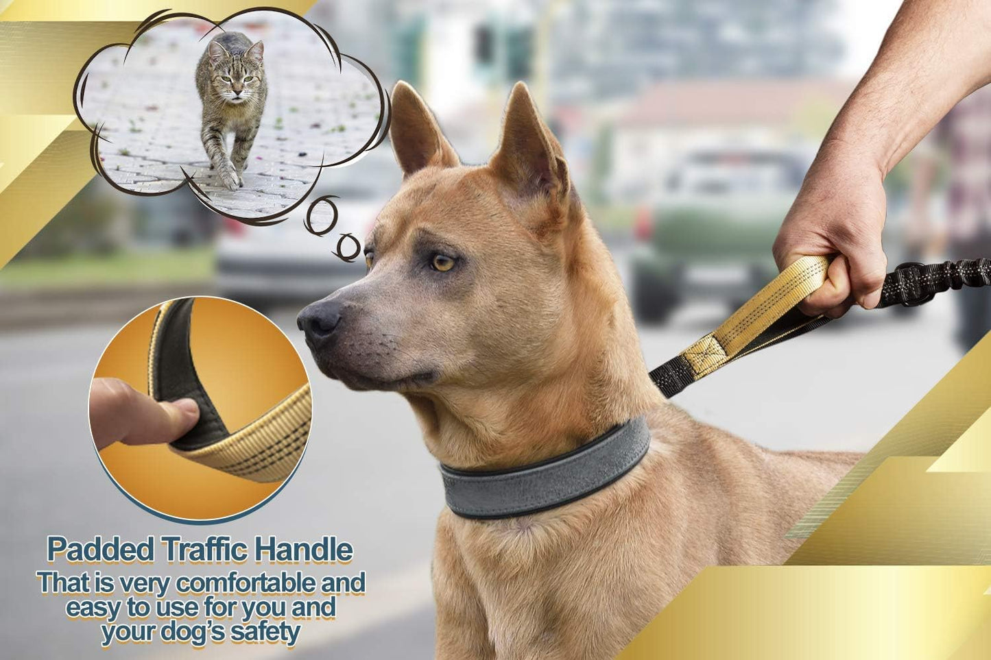 2 in 1 Joggingleine für Hunde mit Doppelgriff, Stossdämpfer und Bauchgurt, Premium-Gold Für ein Hund