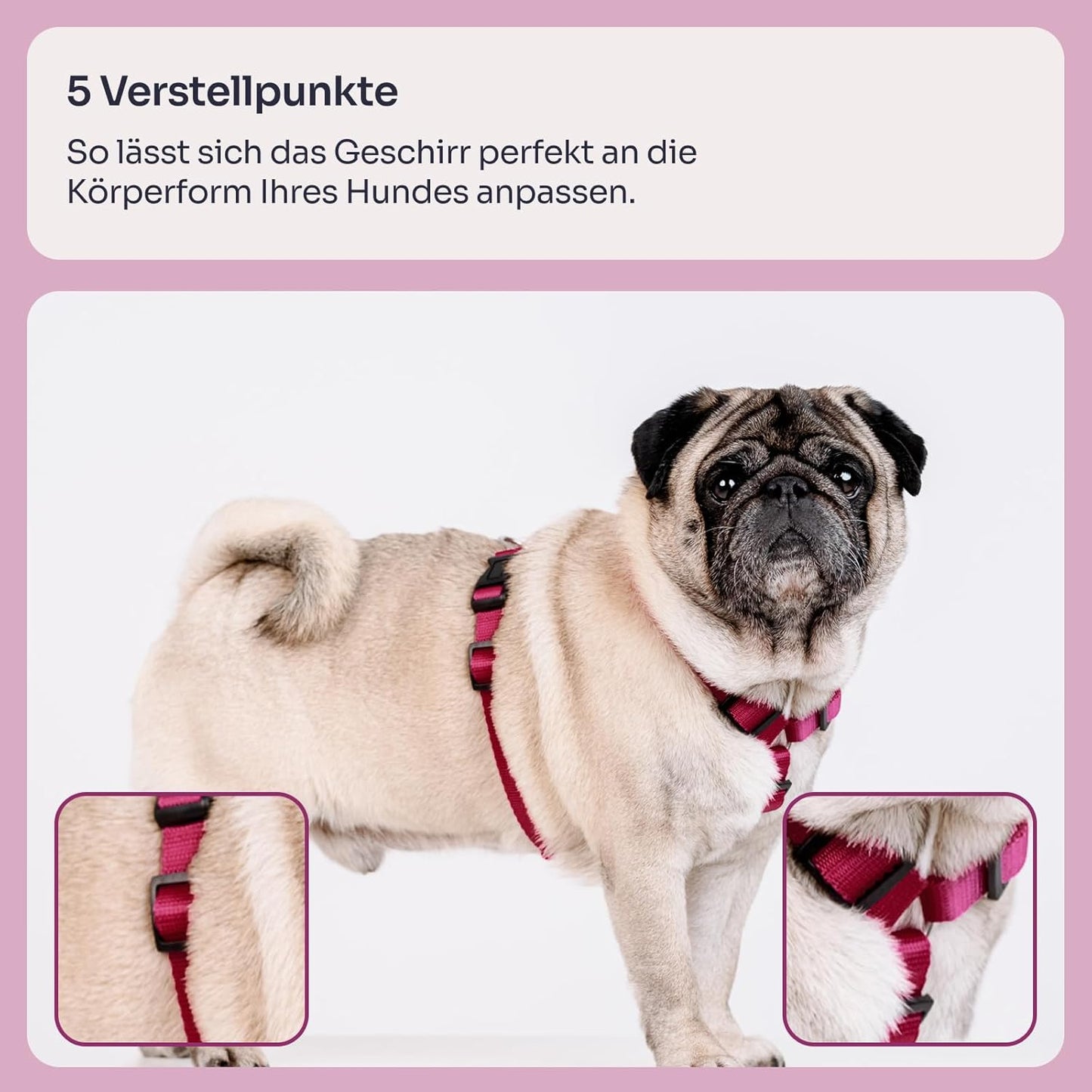 Hundegeschirr mit Anti-Zug, L Bordeauxrot