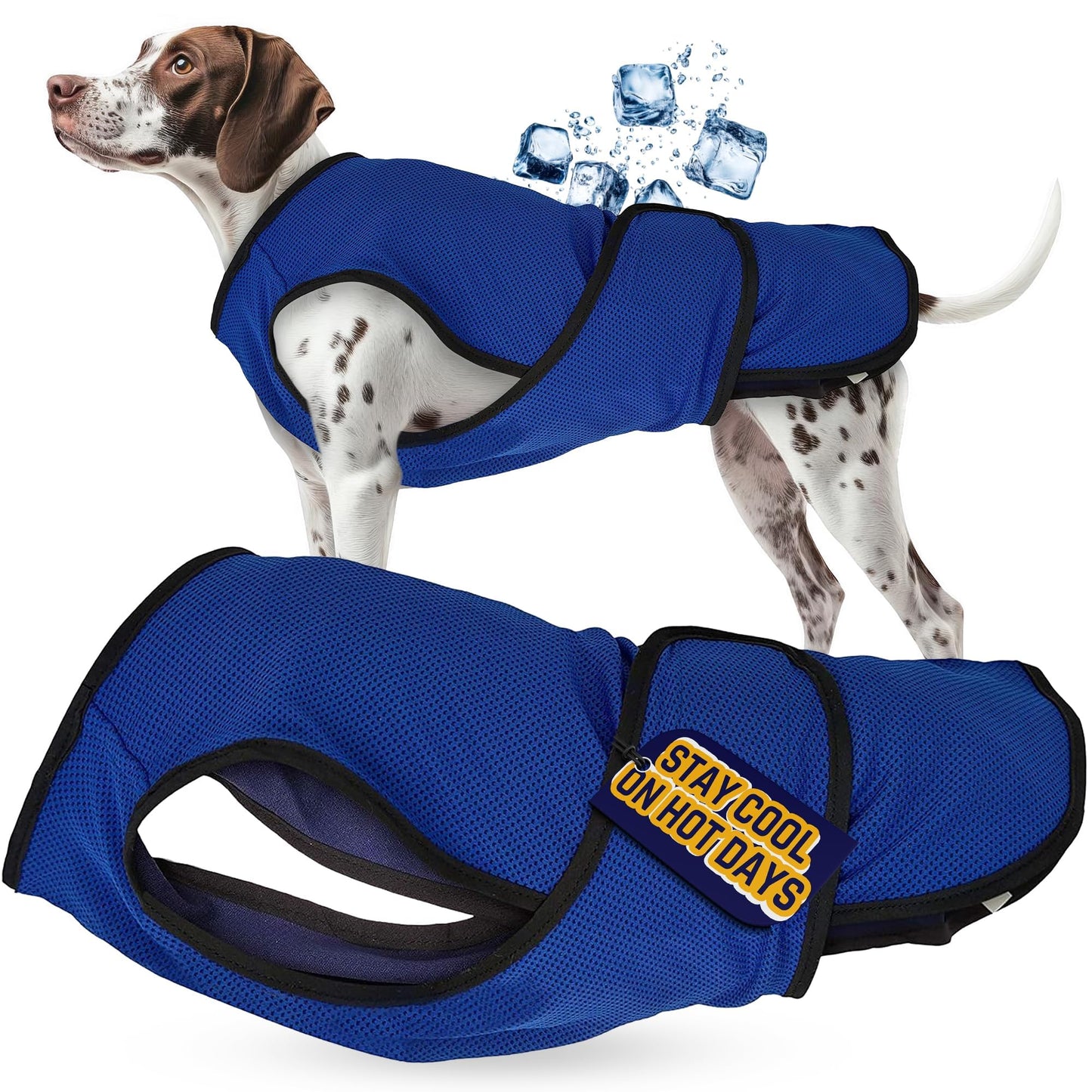 Hundemantel, 2XL Blau