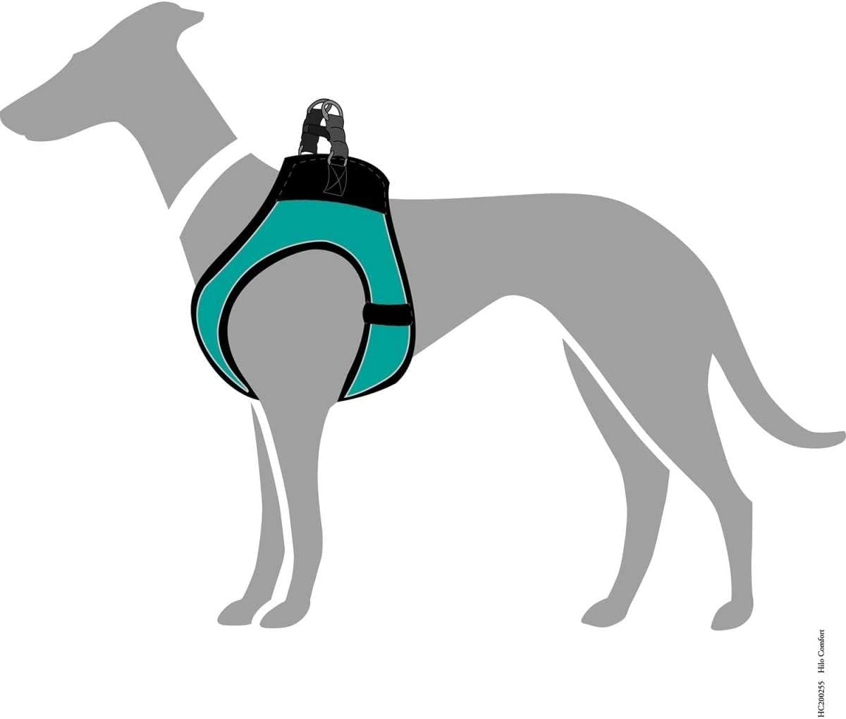Hundegeschirr Hilo Comfort, Türkis / S
