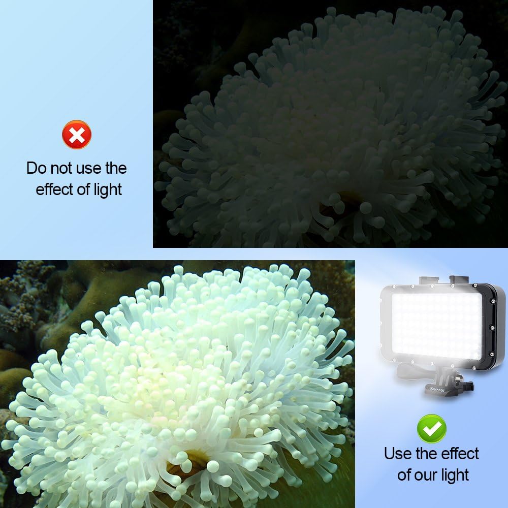 Wasserdichtes Tauchlicht für Kameras