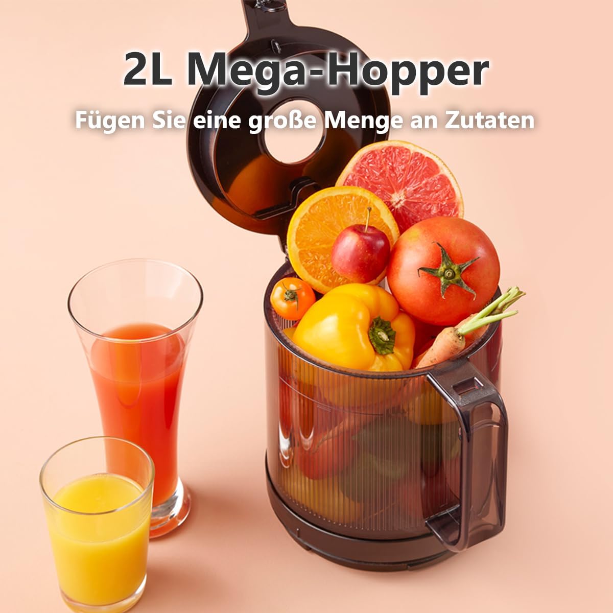 H201 Slow Juicer, Titan