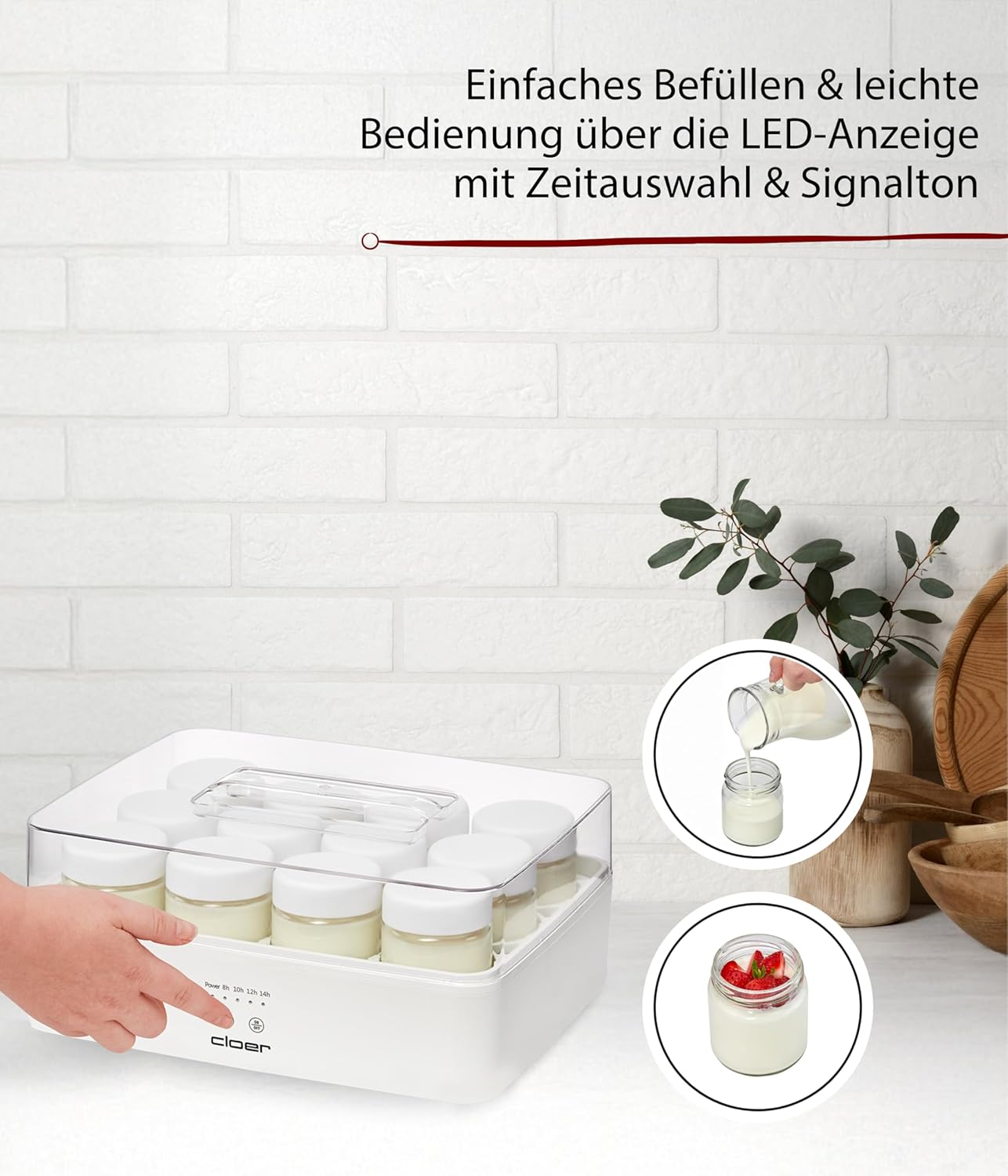 Joghurtbereiter für 12 Gläser