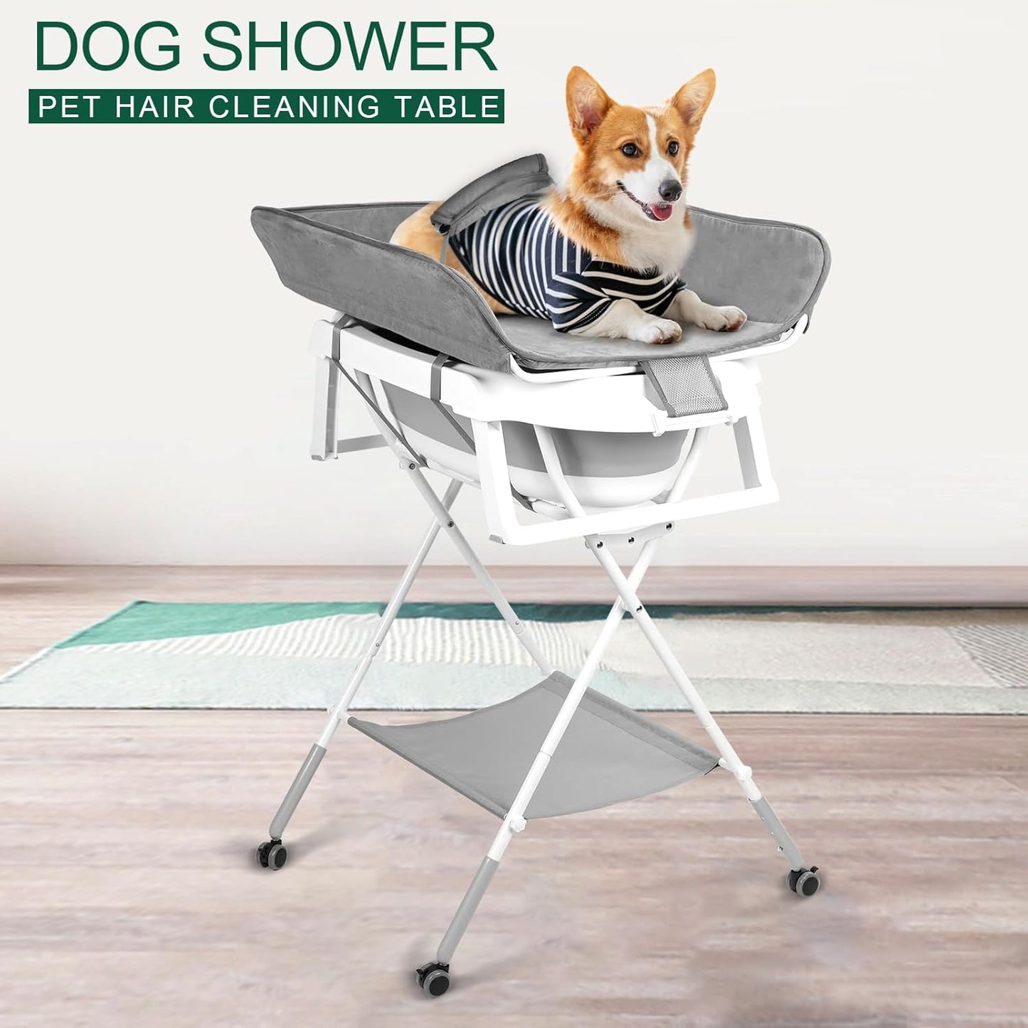 Hundebadewanne, grau