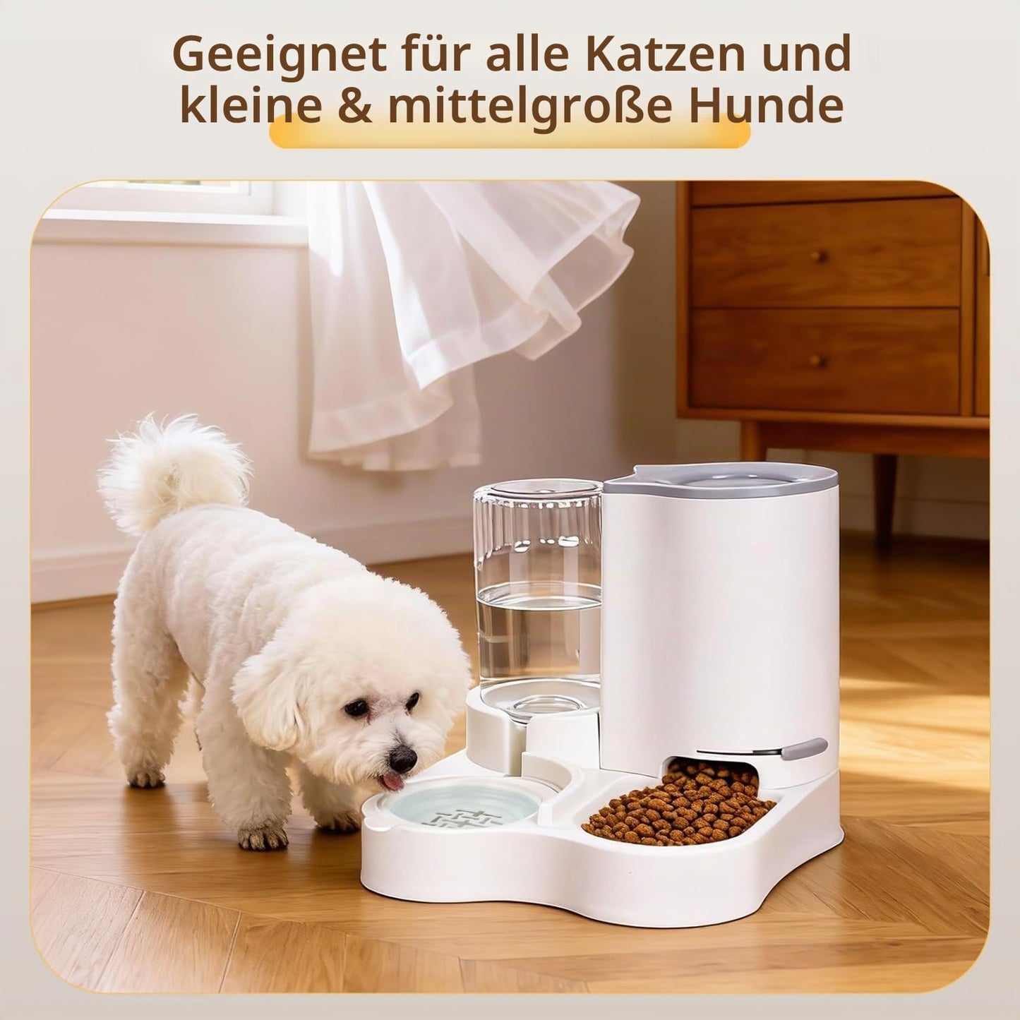2-in-1 Futter- und Wasserspender für Haustiere, Wei?&Grau