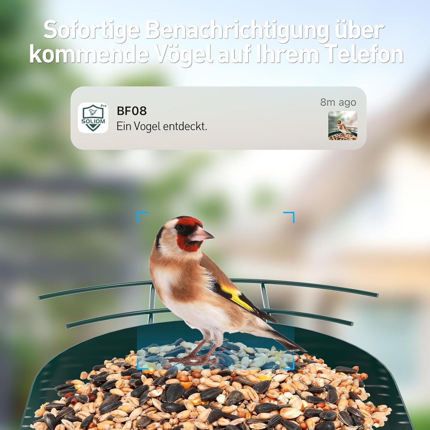 Vogelhaus mit Kamera, Grün
