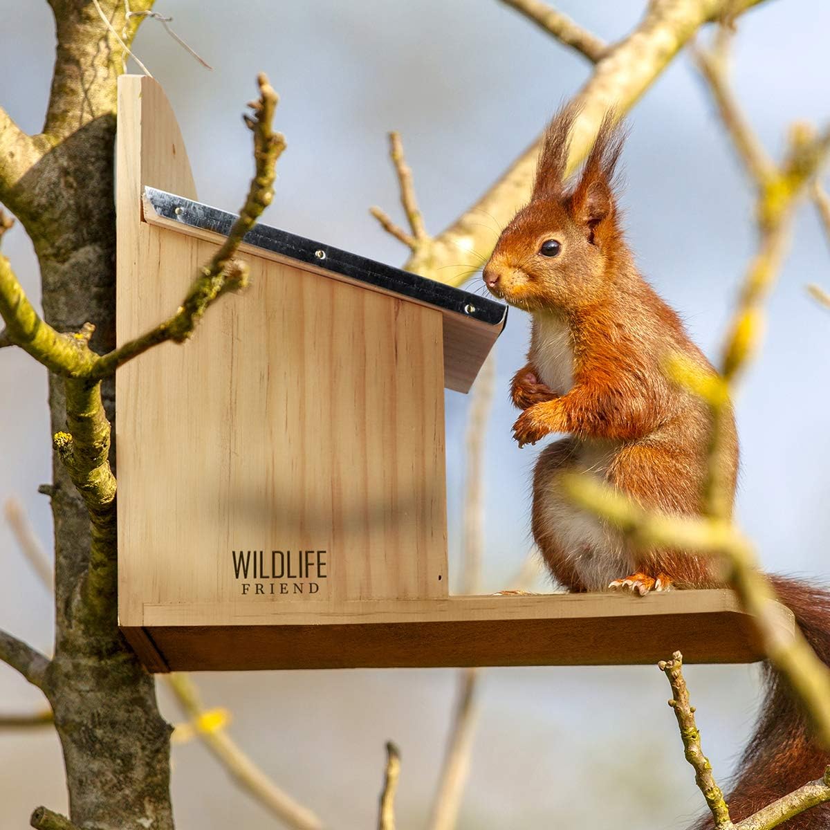 Wetterfestes Eichhörnchen Futterhaus, 11cm x 29cm x 25cm (LxBxH)
