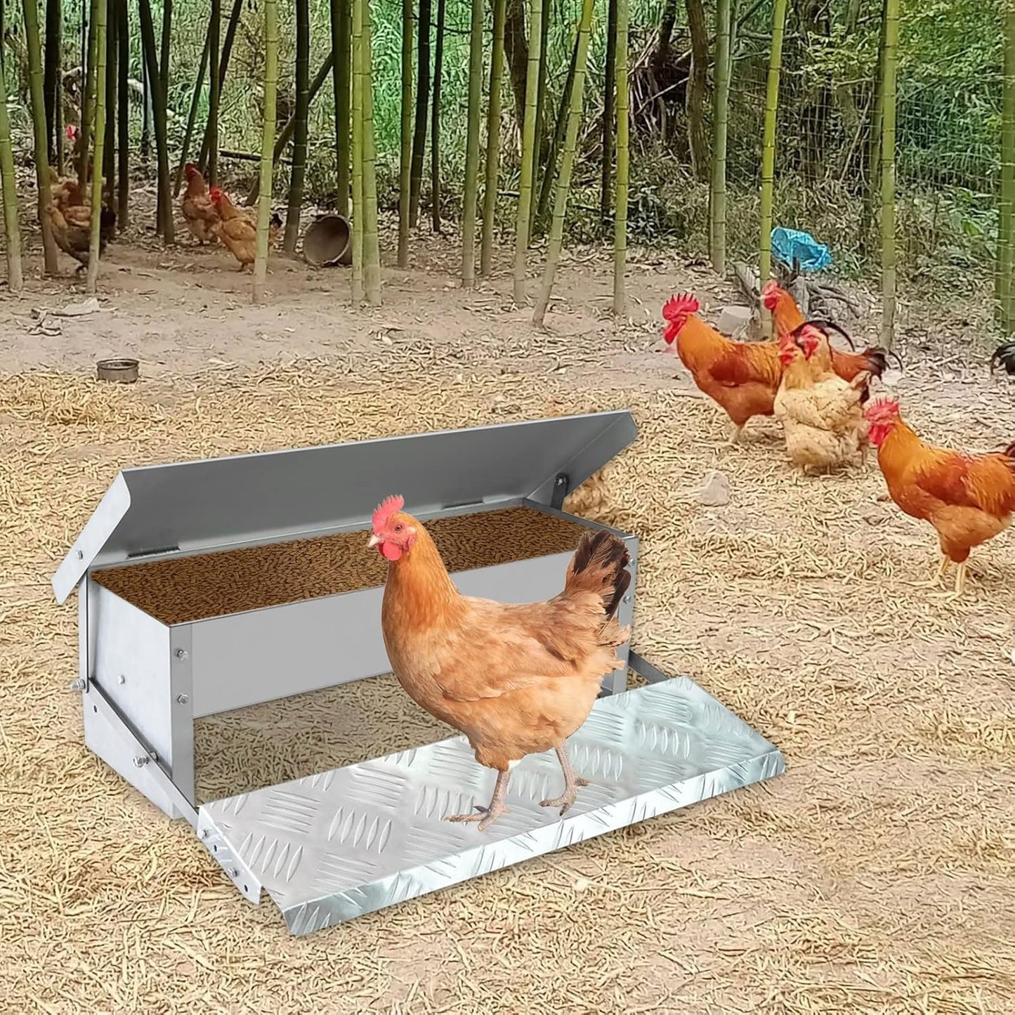 Futterautomat mit Pedal