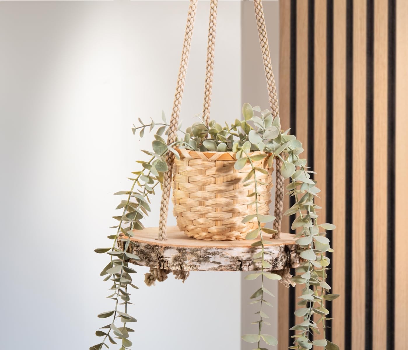 Holzscheiben-Set, 10 Stück, 20 cm, 10 Ø 20 cm