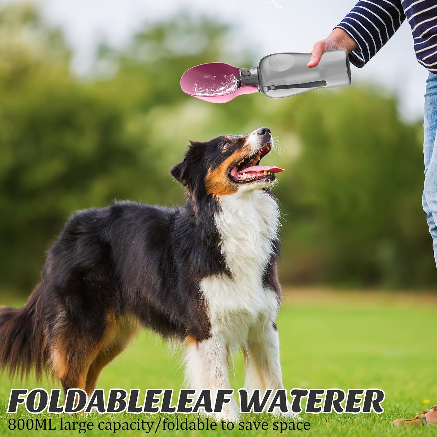 Hundetrinkflasche, Rosa