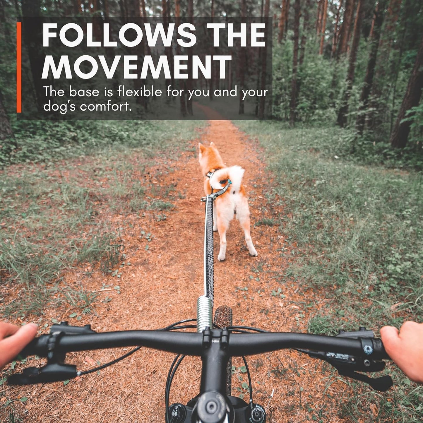 Bike Antenna Hundebefestigung für Fahrrad
