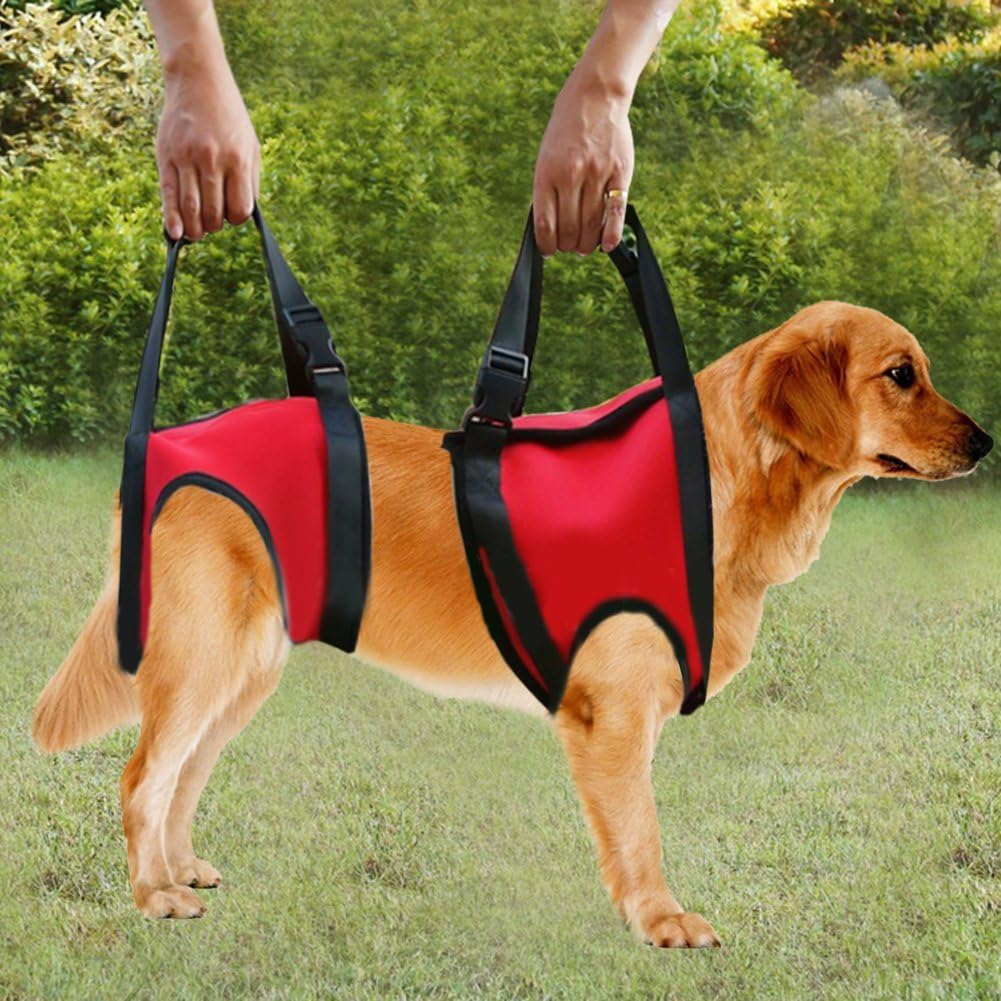 Hunde-Tragehilfe für Vorderbeine, M Rot - Vorderbein