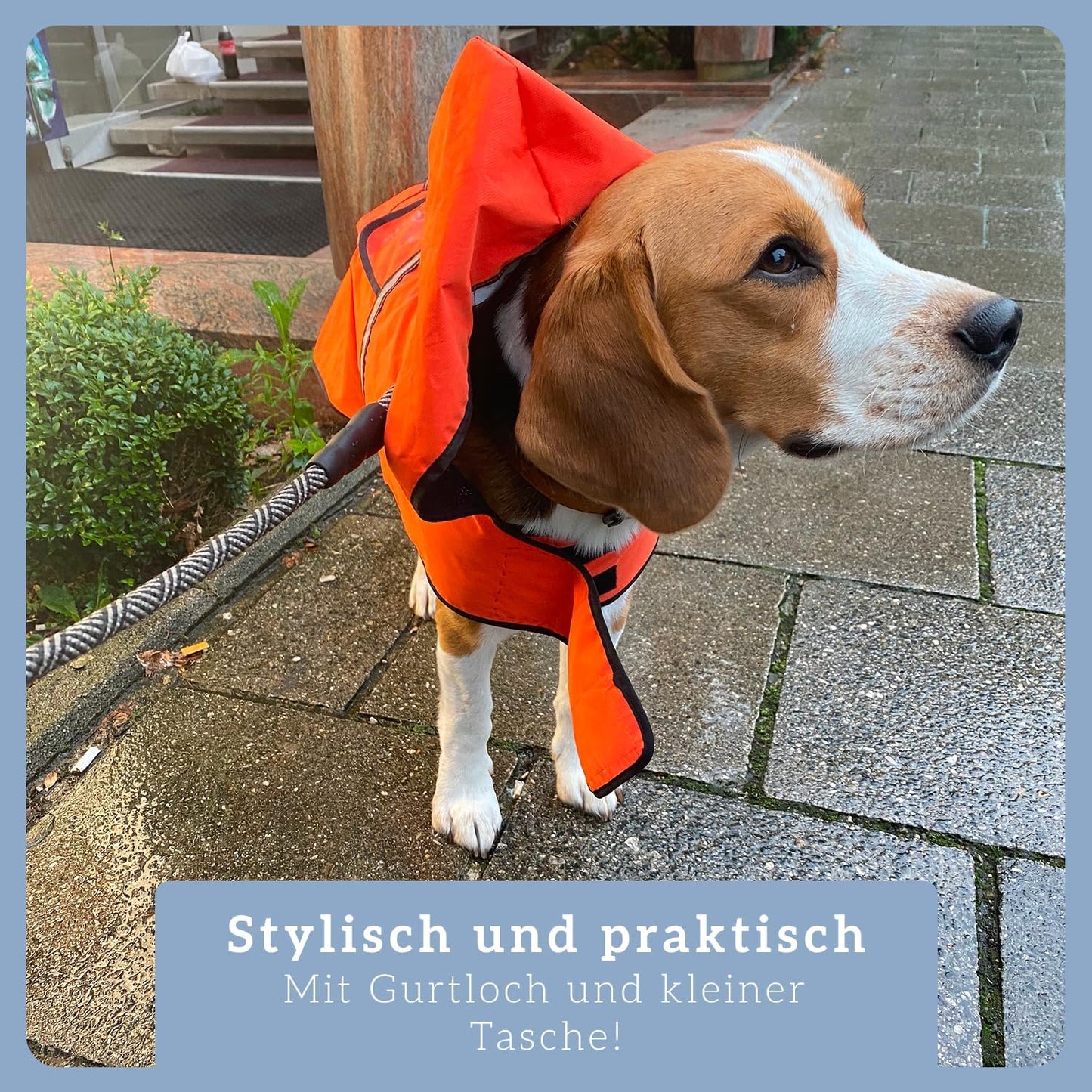 Hunderegenmantel mit Kapuze, L Orange