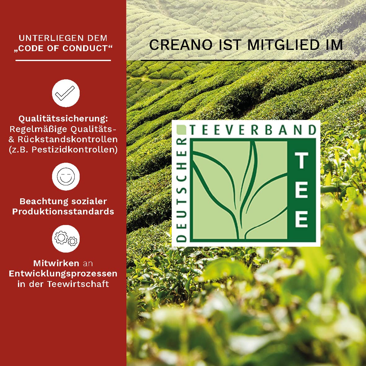 Erblühtee Geschenkset mit Glaskanne (7-teilig), 1x Geschenkset