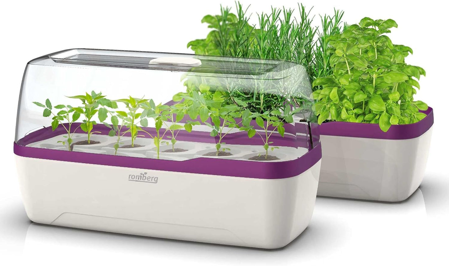 BoQube Zimmergewächshaus mit Bewässerungssystem, BoQube L Plus — 41×17×23cm Weiss / Pflaume