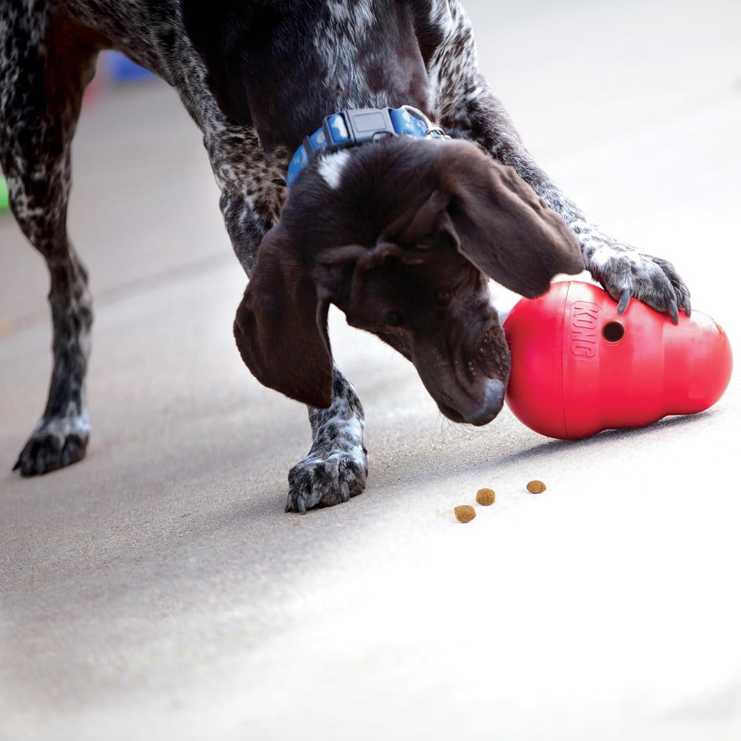 Wobbler - Interaktives Hundespielzeug für Leckerliausgabe, M/L