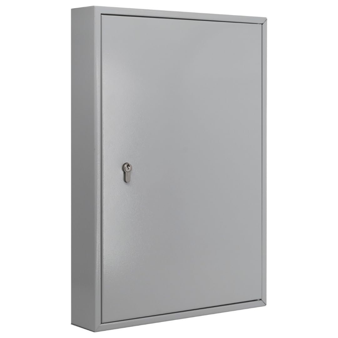 Schlüsselschrank 6850/100 PZ, 100